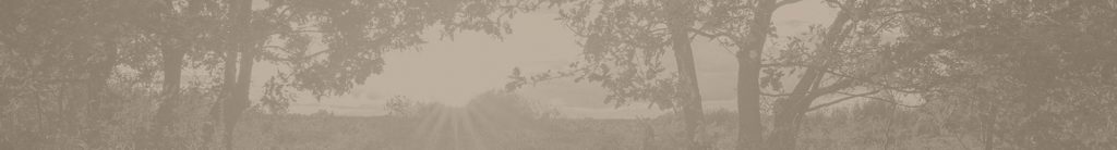 banner desktop