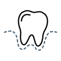 Single tooth in gums icon
